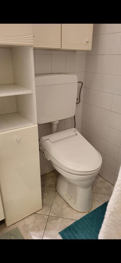 Schoene Altbauwohnung Zentrum Brigittenauer Laende 32 Apartment Wien