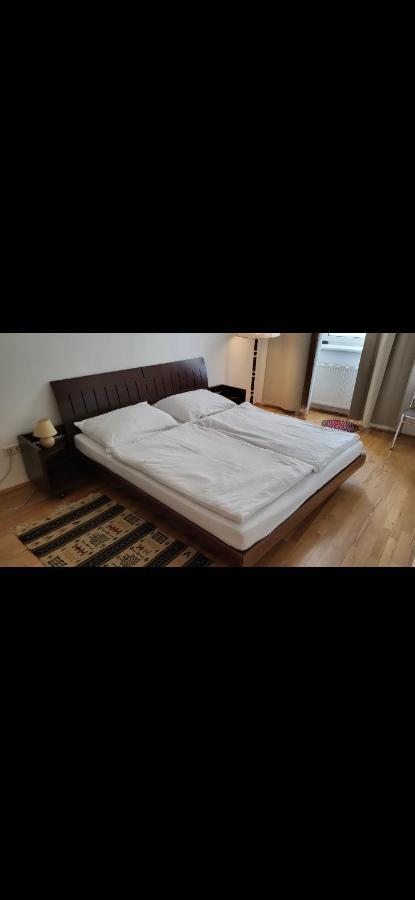 Apartment Schoene Altbauwohnung Zentrum Brigittenauer Laende 32 Wien